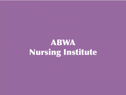 ABWA Nursing Institute